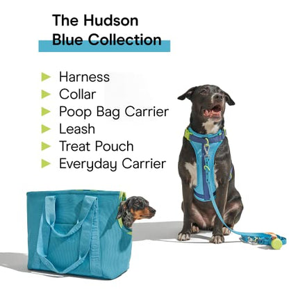 Wild One Dog Collar, Easy-Clean, All Weather Flex-Poly Strap with Metal, Durable, Dirt and Odor Resistant (Hudson, XL) - color: Hudson, size: XL