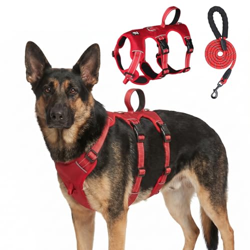 Escape Proof Dog Harness and Leash Set,Soft Padded Full Body Pet Harness, No Pull Reflective Adjustable Dog Vest with Handle, Easy Control Dog Harness for Medium Large Dogs Training Walking Running - color: Red, size: XL