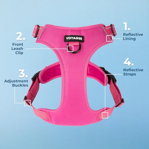 Voyager Dog Harness Dual Leash Attachment No-Pull Control Adjustable Soft but Strong Pet Harness for Medium and Large Dogs with 3M Reflective Technology, Fuchsia Nylon, XS (Chest: 13-16") - color: Fuchsia Nylon, size: XS (Chest: 13 - 16")