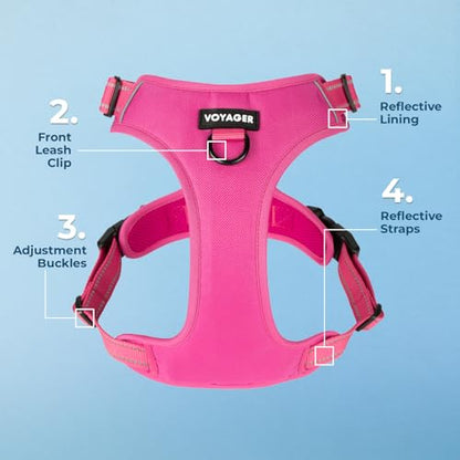 Voyager Dog Harness Dual Leash Attachment No-Pull Control Adjustable Soft but Strong Pet Harness for Medium and Large Dogs with 3M Reflective Technology, Fuchsia Nylon, XS (Chest: 13-16") - color: Fuchsia Nylon, size: XS (Chest: 13 - 16")