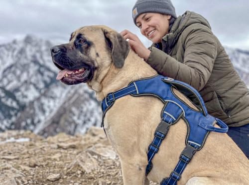 Tuff Pupper Escape Proof No Escape Dog Harness | 5 Point Adjustable Fit Harness for Dogs | Padded Dog Harnesses | Handle Dog Lift Harnesses - color: Midnight Blue, size: X-Large: 32-40 Inch Chest