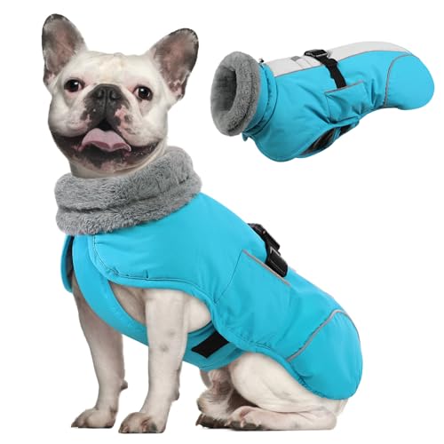 Queenmore Dog Winter Jacket, Fleece Lining Pet Vests for Winter, Dog Cold Weather Coats, Dogs Coat for Medium Puppy Waterproof, Pet Snowsuit with Leash Hole, Blue, M - color: Blue, size: Medium