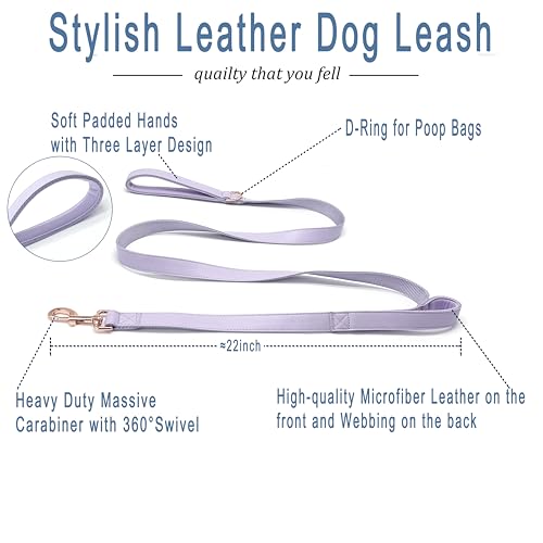Dog Leash 6ft Long,Traffic Padded Two Handle,Heavy Duty,Double Handles Lead for Control Safety Training,Leashes for Large Dogs or Medium Dogs,Dual Handles Leads (Purple, 25MM*6FT) - color: Purple