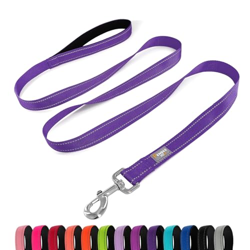 Dog Leash 6 FT Padded Handle Nylon Reflective Dogs Leashes for Small Dogs Puppy Leashes Purple - color: Refl Purple, size: Small : 5/8" x 6 FT