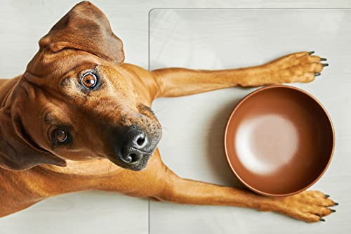 Clear Pet Bowl Mat - USA Made, Safe, Waterproof, 20 x 30 Inch, 2mm Thick Smooth Vinyl, Dog Kennel Mat, Kennel Liner - color: Crystal, size: 20 x 30 Inches