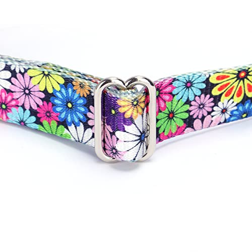 Heavy Duty Nylon Dog Collar, Adjustable Martingale Dog Collar for Walking Training Boy and Girl Dogs Medium Large Dogs (XL:53-62CM, Skulls) - color: Skulls, size: X-Large