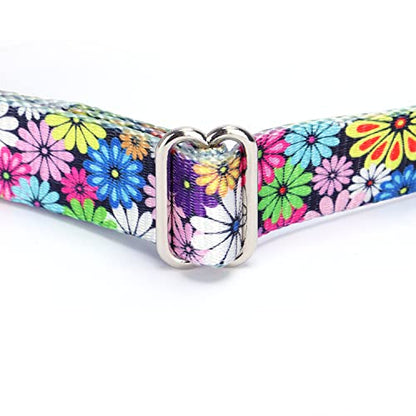 Heavy Duty Nylon Dog Collar, Adjustable Martingale Dog Collar for Walking Training Boy and Girl Dogs Medium Large Dogs (XL:53-62CM, Skulls) - color: Skulls, size: X-Large