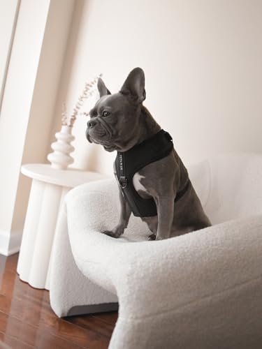Premium No-Pull Dog Harness Soft Neoprene & Breathable Mesh Vest with Front & Back Clip D-Rings Adjustable Lightweight Walking Harness for Puppies, Small & Medium Dogs (Black, S) - color: Black, size: S: Neck=13.8-17.3''/Chest=16.1-21.3''