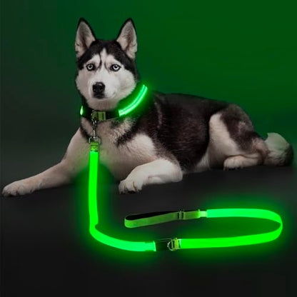 Colaseeme LED Light Up Dog Leash, USB Rechargeable (6FT,Green) | Glow in dark, reflective, USB-C rechargeable, bright LED for night safety, fits medium to large dogs - color: Green, size: 6FT