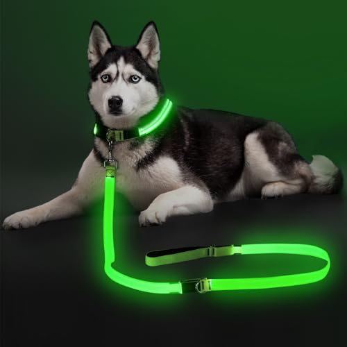 Colaseeme LED Light Up Dog Leash, USB Rechargeable (6FT,Green) | Glow in dark, reflective, USB-C rechargeable, bright LED for night safety, fits medium to large dogs - color: Green, size: 6FT