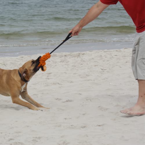 Dingo Dog Tug Toy and TPR Rubber Ball with Bungee Handle, Microfiber Orange - color: Orange
