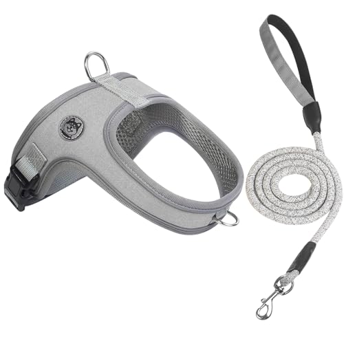 Dog Harness and Leash Set, No Pull Saddle Style Pet Harness, Breathable Mesh Adjustable Reflective Dog Vest for Medium Small Dogs Harness 2 D-Rings, Grey, M - color: Grey, size: M