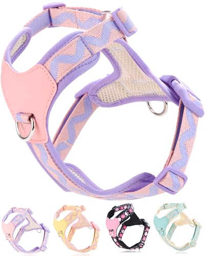 Petank Purple Large Dog Harness for Large Dogs, No Pull Dog Harness with 2 Leash Clips, Puppy Harness, Adjustable Dog Vest Harness (Purple, L) - color: Purple, size: L