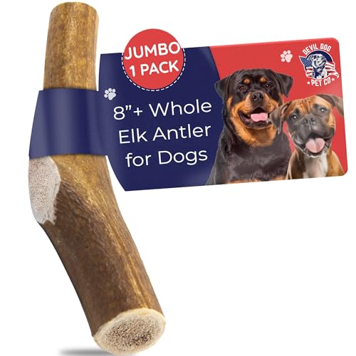 Devil Dog Pet Co. Elk Antlers for Dogs, Natural Dog Chew for Aggressive Chewers - Long Lasting and Odor Free - USA Sourced - Cleaner Teeth, Anxiety & Boredom Relief - Whole Jumbo 8"+ - Antler Bone - style: WHOLE - Jumbo - 1 Pack