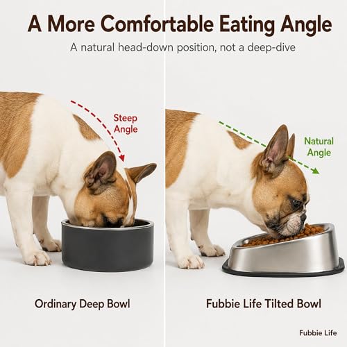Slanted Dog Bowl for Flat-Faced Breeds - 304 Stainless Steel Tilted Food Bowl for French Bulldogs Pugs Shih Tzus Boston Terriers, Non-Slip Base, Dishwasher Safe, 18 oz