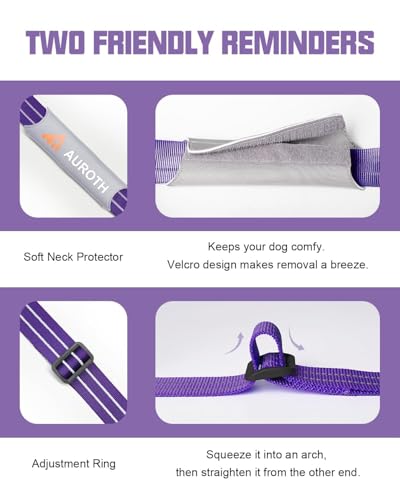 AUROTH Dog Harness and Leash Set, Soft Padded Service Dog Vest with 5.25FT Dog Leash, No Choke, Easy On Pet Vest, Adjustable Reflective No Pull Pet Vest Medium Sized Dog, Easy Walking and Training - color: Purple, size: M(Neck:17.7"-24",Chest:23.6"-31.9")