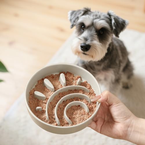 Ceramic Slow Feeder Dog Bowl, 0.8 Cups Anti -Slip Slow Feeding Bowl to Slow Down Eating, 6.3 Inch Dog Food Dish for Small Breeds, Grey - color: Grey, size: Small