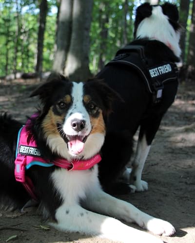AUROTH Dog Harness and Leash Set, Soft Padded Service Dog Vest with 5.25FT Dog Leash, No Choke, Easy On Pet Vest, Adjustable Reflective No Pull Dog Harness for Large Dogs, Easy Walking and Training - color: Rose Red, size: Large
