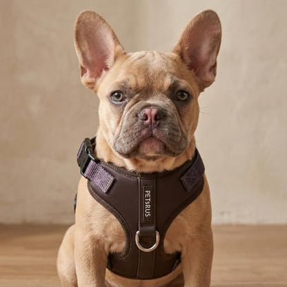 Premium No-Pull Dog Harness Soft Neoprene & Breathable Mesh Vest with Front & Back Clip D-Rings Adjustable Lightweight Walking Harness for Puppies, Small & Medium Dogs (Dark Chocolate Brown, XS) - color: Dark Chocolate Brown, size: XS: Neck 10.6-14.2'', C