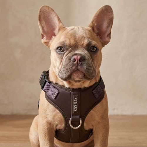 Premium No-Pull Dog Harness Soft Neoprene & Breathable Mesh Vest with Front & Back Clip D-Rings Adjustable Lightweight Walking Harness for Puppies, Small & Medium Dogs (Dark Chocolate Brown, L) - color: Dark Chocolate Brown, size: L: Neck=16.5-22''/Chest=