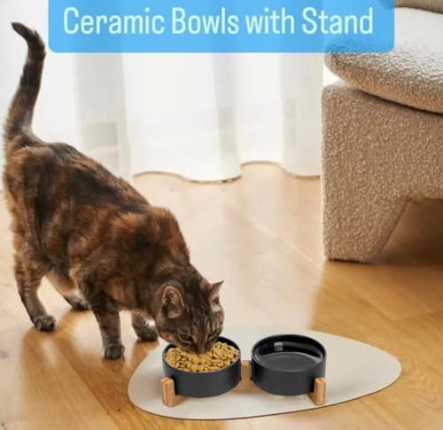 Ceramic Cat and Small Dog Bowl Set – Modern Indoor Small Size Pet Food and Water Bowls with Wood Stand – Non Slip Puppy Sized Feeding Station with Double Dishes (Black) - color: Black
