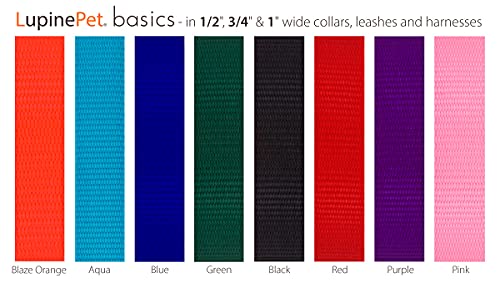 Lupine Dog Collar 3/4" Wide Aqua adjusts 13-22" Long - size: 3/4" wide; adjusts 13"-22"