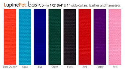 Lupine Dog Collar 3/4" Wide Aqua adjusts 13-22" Long - size: 3/4" wide; adjusts 13"-22"