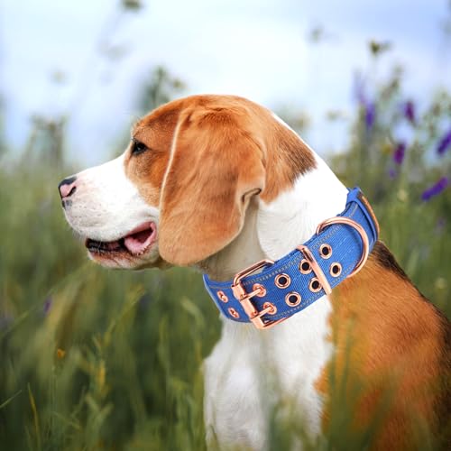Heavy Duty Tactical Dog Collar with Neoprene Padded and Metal Buckle, Reflective Nylon for Medium to Large Dogs(Blue, Medium) - color: Blue, size: Medium (Pack of 1)