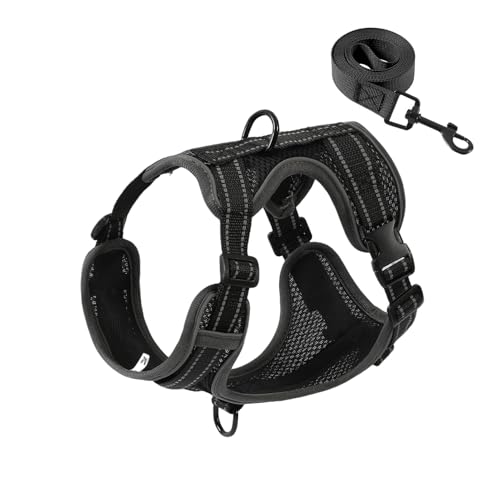 No-Pull Dog Harness with Dog Leash Breathable Mesh Adjustable Soft Padded Pet Vest Reflective for Small/Medium/Large Dogs Walking, Training - color: Black, size: L