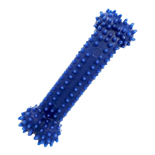 Nylabone Textured Dental Bone Flexi Chew Toy for Dogs, Dog Toys for Moderate Chewers, Chicken Flavor, Medium - Up to 35 lbs, 1 Count - size: Medium