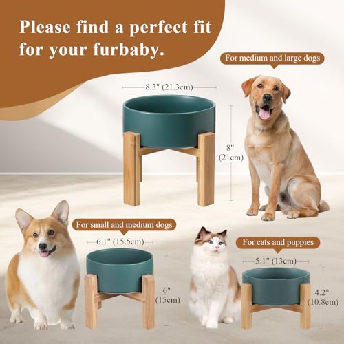 Elevated Ceramic Cat Bowl - Cat Food Bowl with Bamboo Stand - Raised Dog Dish for Puppies - Anti Vomiting, Stress Free - 13.5 oz / 400 ml - White - color: White, size: Small