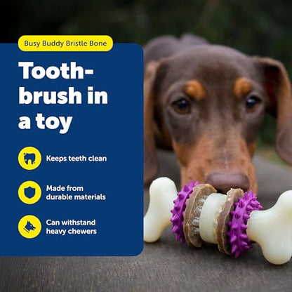 PetSafe Busy Buddy Bristle Bone Dog Chew Toy - Treat Holding Toothbrush Toy for Hard Chewers - Helps Keep Your Dog's Teeth Clean - Durable, Interactive - Purple, Small - size: Small, style: Bristle Bone