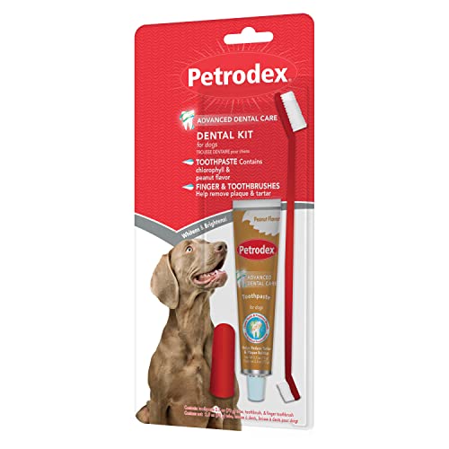 Petrodex Dental Care Kit for Dogs and Puppies, Cleans Teeth and Fights Bad Breath, Reduces Plaque and Tartar Formation, Enzymatic Tooth Brushing Kit, Peanut Flavor, 2.5oz Toothpaste + Toothbrush - size: 1 Count (Pack of 1)