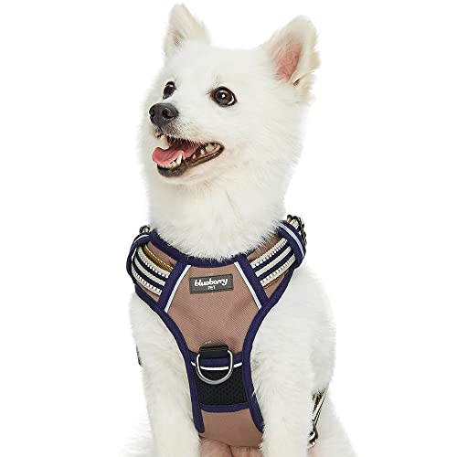 Blueberry Pet Dog Harness Soft & Comfy 3M Reflective Dog Harness Medium Sized Dog - color: Olive and Blue-gray, size: Small