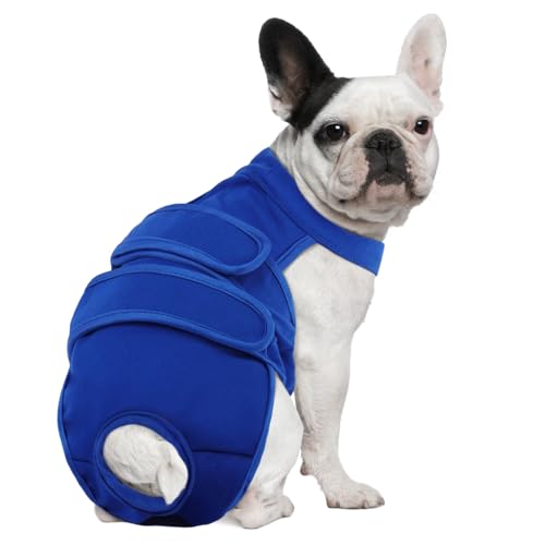 Dog Diapers Female Reusable Washable Period Diaper with Suspender,Adjustable Dog Panties Anti-Harassment, Doggie Diapers for Incontinence, Heat Cycles, or Senior Dogs（XS-XL - color: Blue, size: M