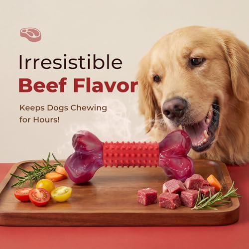 2-Pack Tough Dog Toys for Aggressive Chewers: Beef Flavored Long Lasting Dog Bones for Large Dogs, Heavy Duty Nylon & Rubber Dog Chew Toys to Keep Them Busy, Medium & Large Breed, Red - color: 2 PC-Beef-Red