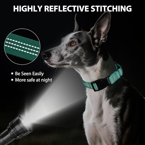 Martingale Dog Collar Quick Release Buckle No Pull Reflective Non-Slip for Medium Large Dogs Training (Teal, Large) - color: Teal, size: Large (Pack of 1)