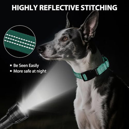 Martingale Dog Collar Quick Release Buckle No Pull Reflective Non-Slip for Medium Large Dogs Training (Teal, Large) - color: Teal, size: Large (Pack of 1)