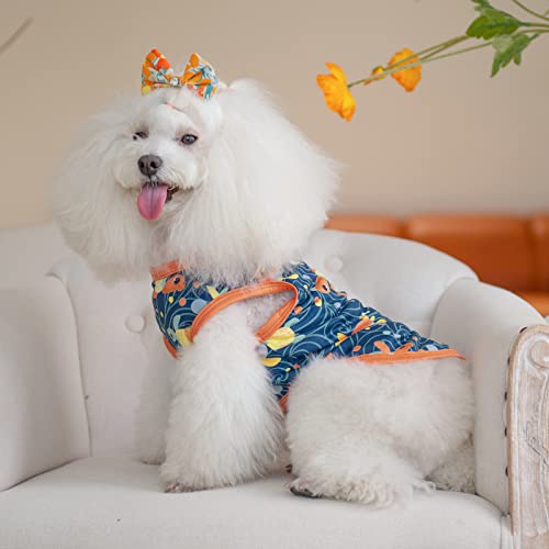 CuteBone Dog Shirts 2-Pack Soft Pet Clothes Breathable Summer Vest for Small Puppy and Stretchy Cat Apparel - color: Shark&turtle, size: Medium