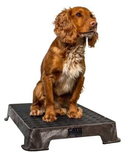 Cato Board - Dog Training Platform (Brown, Rubber Surface) - color: Brown
