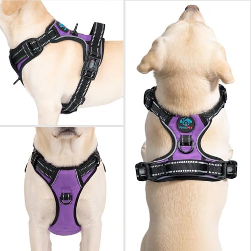 PHOEPET No Pull Dog Harness Medium Reflective Front Clip Puppy Vest with Handle,Adjustable 2 Metal Leash Attachment Hooks(M, Purple) - color: Purple, size: Medium