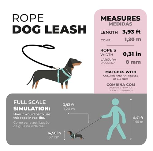 TOH Dog Rope Leash, Puppy Rope Leashes with Comfortable Padded Handle, Shiny Design, Easy to Use, Heavy Duty Dog Leash Suitable for Dogs Training Outdoor Walking, 4ft & Graphite - color: Graphite