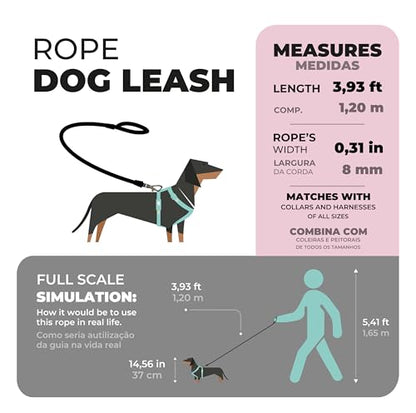 TOH Dog Rope Leash, Puppy Rope Leashes with Comfortable Padded Handle, Shiny Design, Easy to Use, Heavy Duty Dog Leash Suitable for Dogs Training Outdoor Walking, 4ft & Turquoise - color: Turquoise