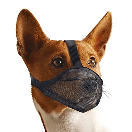 Whongkidz Dog Muzzle for Medium Dogs, Air Mesh Full-Covered Mouth Guard with Adjustable Straps Muzzle, Drinkable Breathable No Biting Barking Chewing Licking or Eating Everything (Black, M) - size: M: 9½”-10½” Snout Circumference