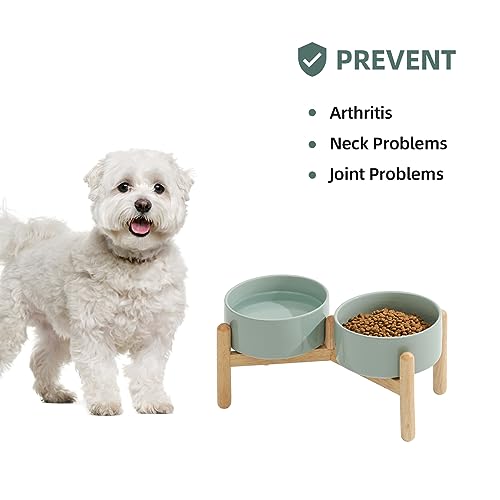 Havniva 6.1inch Ceramic Raised Dog Bowl with Stand, Double Dog Bowls Elevated for Small and Medium Breed Dog Food and Water Bowl Set Non-Slip Dog Dish Large Capacity Feeding Pet Water Bowl - color: 2 Bowls+Stand - Light Green, size: 6.1inch