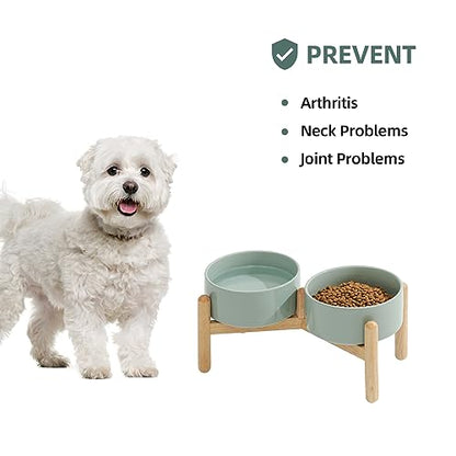 Havniva 6.1inch Ceramic Raised Dog Bowl with Stand, Double Dog Bowls Elevated for Small and Medium Breed Dog Food and Water Bowl Set Non-Slip Dog Dish Large Capacity Feeding Pet Water Bowl - color: 2 Bowls+Stand - Light Green, size: 6.1inch