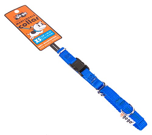 GOGO Pet Products 3/8-Inch Martingale Dog Collar, X-Small, Blue - color: Blue, size: Xsmall (3/8" web width)