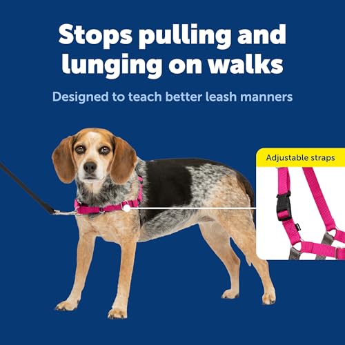 PetSafe Easy Walk No-Pull Dog Harness - The Ultimate Harness to Help Stop Pulling - Take Control & Teach Better Leash Manners - Helps Prevent Pets Pulling on Walks - Small/Medium, Raspberry/Gray - color: Raspberry Pink/Grey, size: Small/Medium