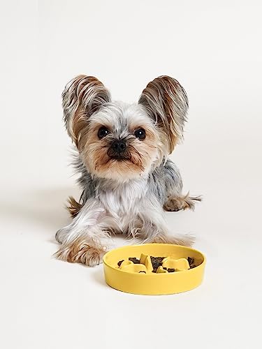 LE TAUCI PET Ceramic Slow Feeder Dog Bowls Small Breed, 0.5 Cups Dog Food Dish for Fast Eaters, Puzzle Bowl for Small Dogs and Cats, 5.5 Inch-Yellow - color: Yellow