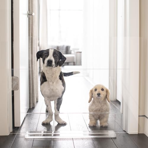 Hiddin Low Clear Freestanding Pet Gate – 32 Inch Wide Modern Acrylic Dog & Cat Barrier Panel – Transparent No-Installation Indoor Pet Fence for All Spaces – Stylish Home Safety Solution - size: 32" Width
